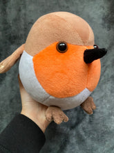 Load image into Gallery viewer, LIMITED: Flundereeze & the Suspicious Robin plush